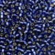 Miyuki delica Beads 11/0 - Duracoat silverlined dyed navy DB-2191